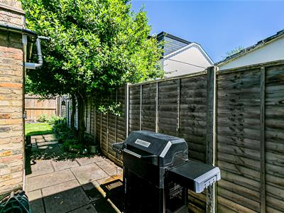 Picture 15
